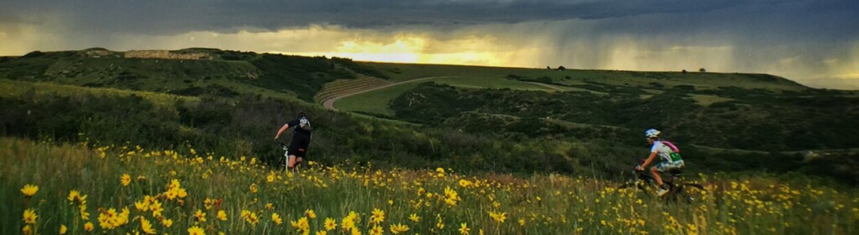 Meadow